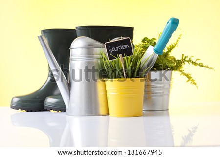 watering can, garden boots and house plants
