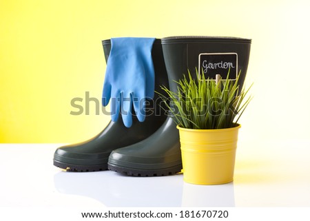 garden boots and house plants on yellow background