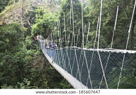 Canopy walkway. Taman Negara National Park. Malaysia