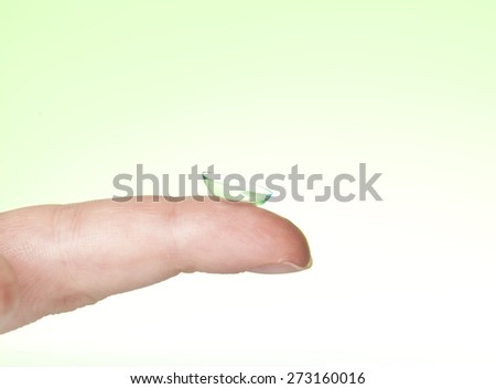 contact lens on finger and case isolated