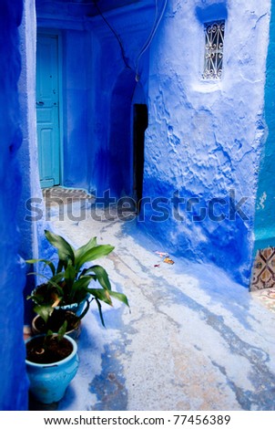 blue house in Morocco