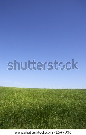nature background(focus on the nearest grass)