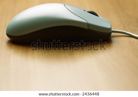 mouse (space for your text,special photo f/x,focus point on the scrolling wheel)