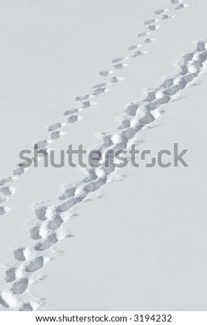 footprints on snow background, focus on center of photo