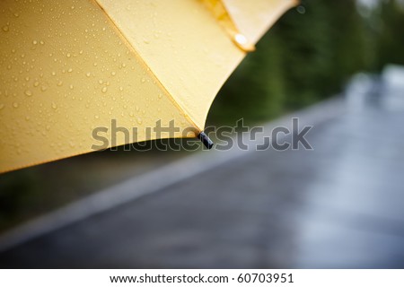 rainy walk