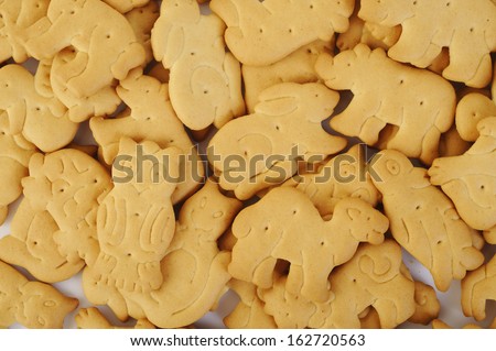 animal shaped cracker isolated on white background
