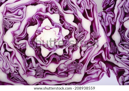 Red Cabbage cross section