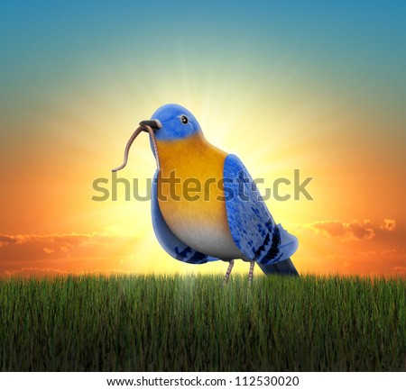 Bluebird standing in green grass, catching the worm as the sun rises behind him