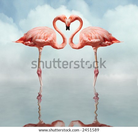 Flamingos Making Hearts
