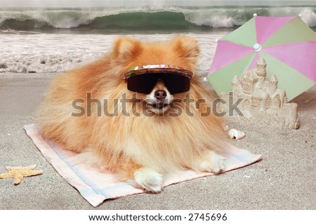 Pomeranian dog wearing sunglasses, lying on a towel at the beach with sandcastle, umbrella and waves in the background