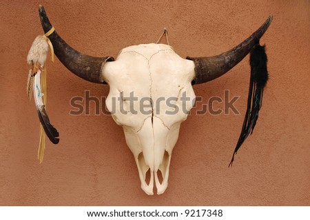 Decorated Pueblo bull skull on adobe wall
