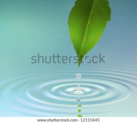A water drop from a leaf causing a ripple on the surface reflecting a green jungle atmosphere