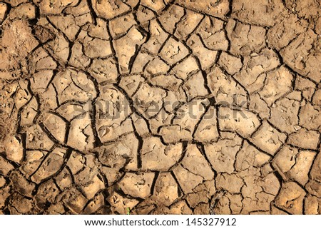 Cracked earth background. Parched Earth - Soil Conservation, Drought, Erosion
