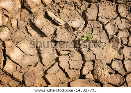 Cracked earth background. Parched Earth - Soil Conservation, Drought, Erosion