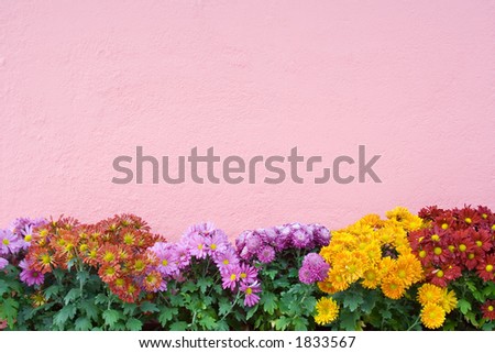 Wall with flower decoration at the base