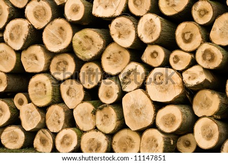 wooden logs piled up into a stack