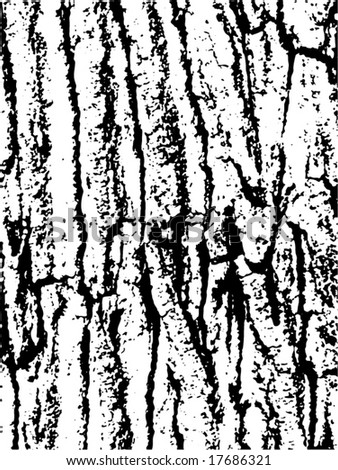 wood texture vector. stock vector : wood texture