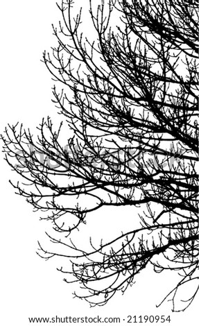 tree silhouette vector. of tree silhouette vector