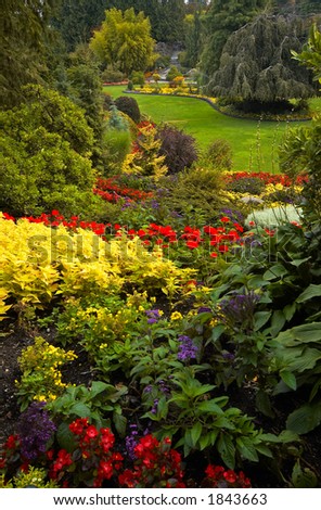 Arranged flowers and lawn in Vancouver Queen Elizabeth Park. More with keyword group14h