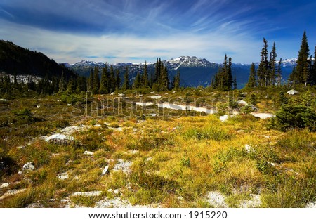 Grass, pine trees, and snow peaks of Blackcomb Mountains. More with keyword group14l