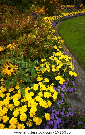 Yellow, purple flowers and lawn in Vancouver Queen Elizabeth Park. More with keyword group14h