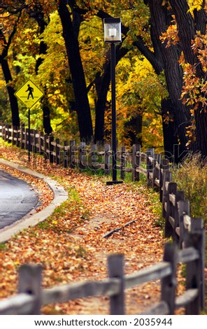 Falling foliage and fence along the road. More with keyword group18a