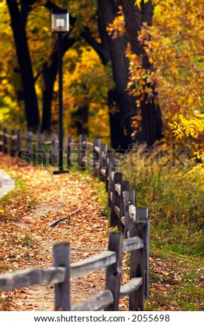Falling foliage and fence along the road. Shallow DoF. More with keyword group18a