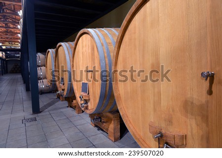 barrels of wine in the wine cellar