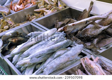 frozen fish in the fish shop