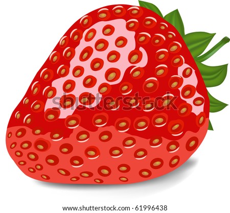 stock vector : ripe red strawberry  vector illustration
