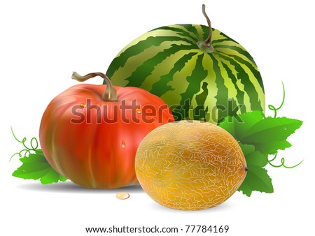 Watermelon Pumpkin