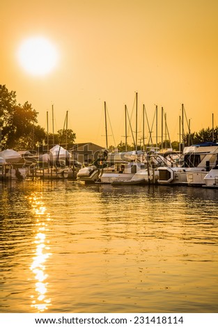 Golden glow on marina boats and water