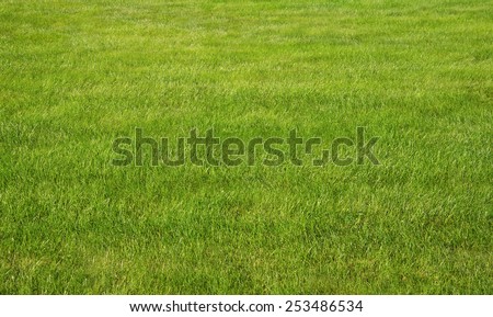 Green grass lawn with sunny and rainy days