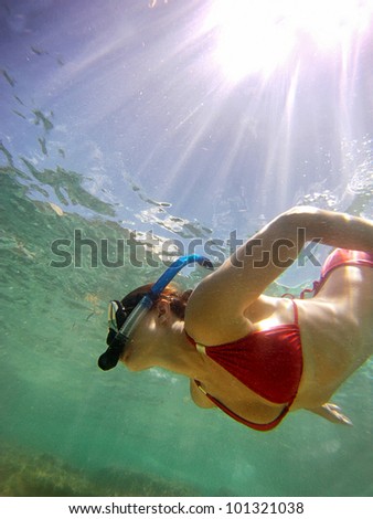 Young sexy woman snorkling in ocean with red bikini. Beautiful tropical vacation in the warm sunny Seychelle island oceans and palm trees
