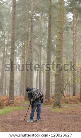 man taking a photo in the pine forest