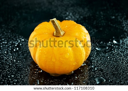 Mini pumpkin on a black background./Mini Pumpkin