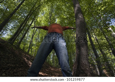 standing man and forest