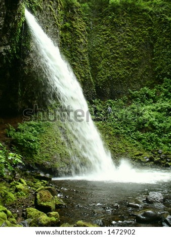 Pony Tail Falls, OR