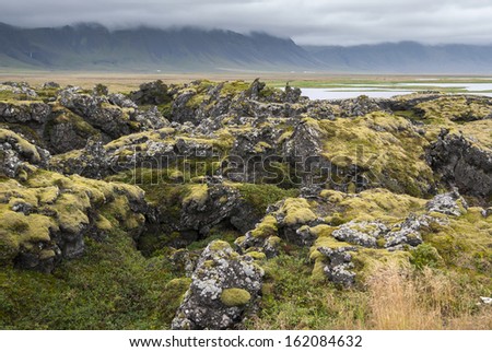 moss and rocks in Iceland Langaholt