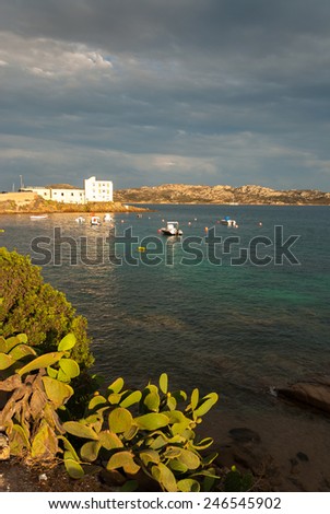 sea and coast on the island of La Maddalena in Sardinia