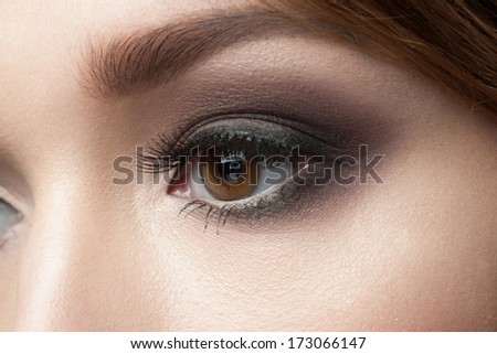 Closeup of beautiful woman eye with makeup, brown eyes
