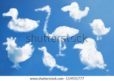 Bird-shaped cloud