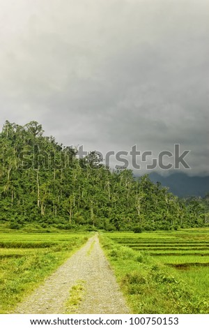 Storm clouds over dirt countryside road surrounded by ricefields