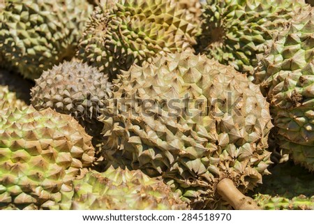 Spiky and smelly Philippines Durian for sale in a local market