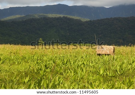 Philippines Isabela