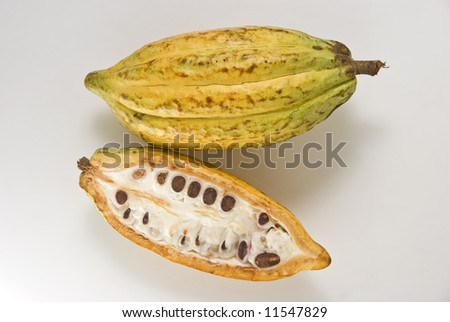 Whole and cross section of ripe cacao fruit