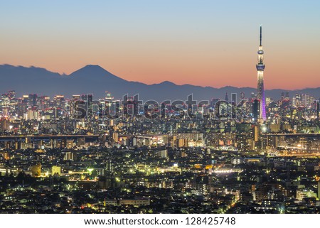 Tokyo city and skytree with Mt Fuji on the background