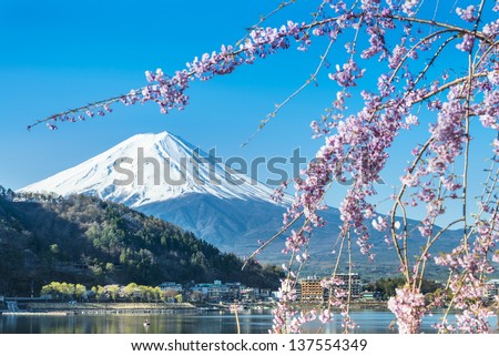 Mt Fuji And Cherry Blossom At Lake Kawaguchiko