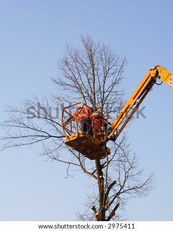 men in a crane cutting down a tree