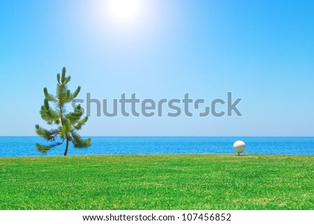 Golf ball near the tree on the background of the ocean. Portugal.